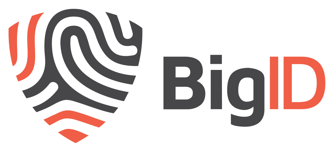 bigID logo