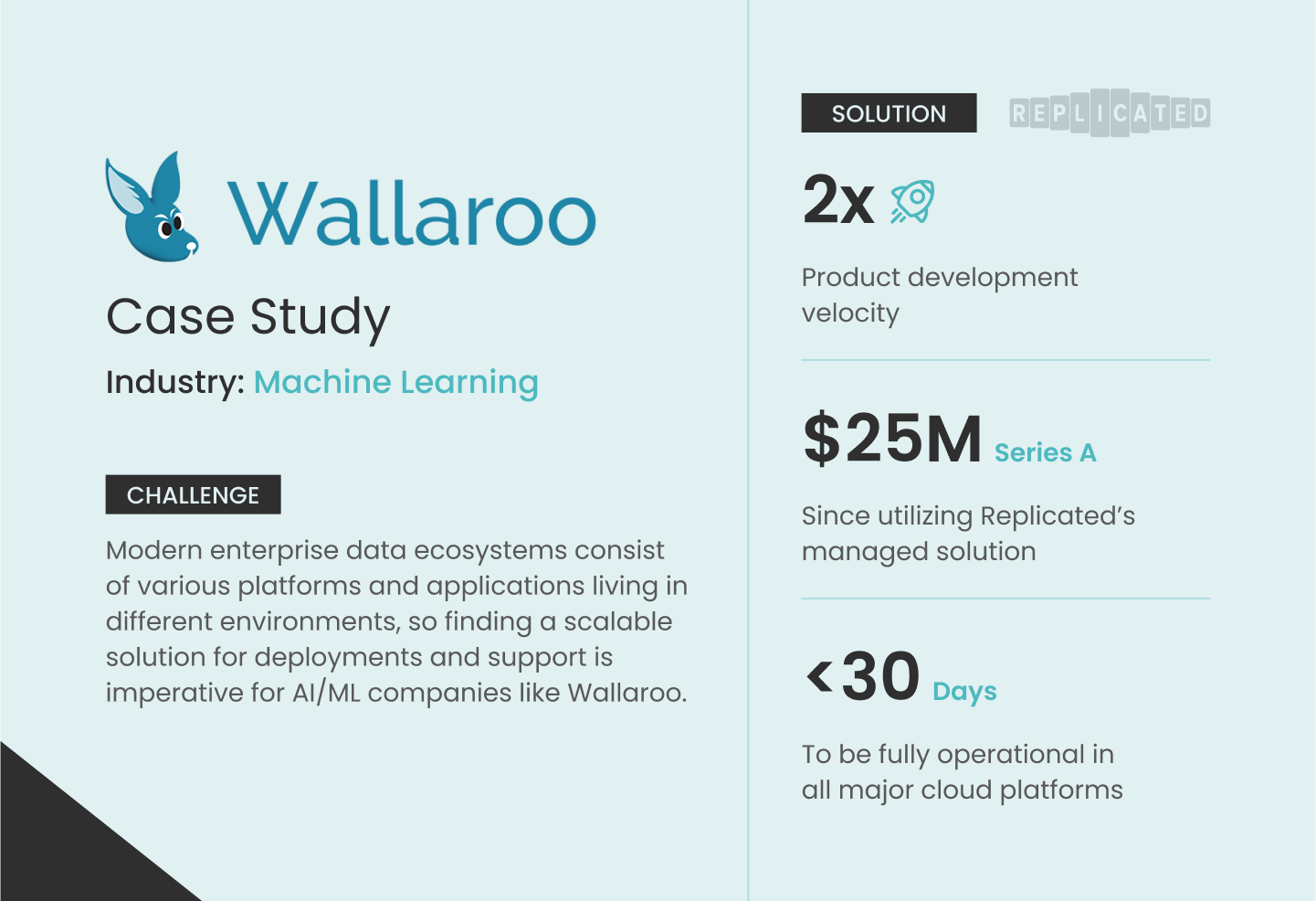 Wallaroo outline